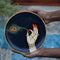 Pichwai Handpainted Wall Plate - 10"