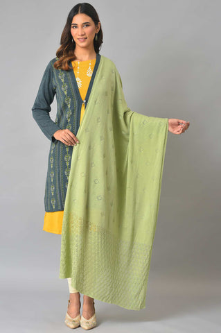 Light Green Pointel Knitted Shawl