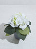Westside Home White Potted Artificial Plant