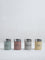 Westside Home Multicolour Spice Container with Lid (Set of 4)