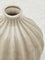 Westside Home Ivory Ceramic Vase - Small