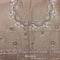 Almond Beige Tissue Organza Saree With Chikankari Embroidery