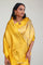 Bright Gold Kanjivaram Silk Jaal Saree
