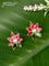 Bugadi earrings floral design with jadau kundan stones