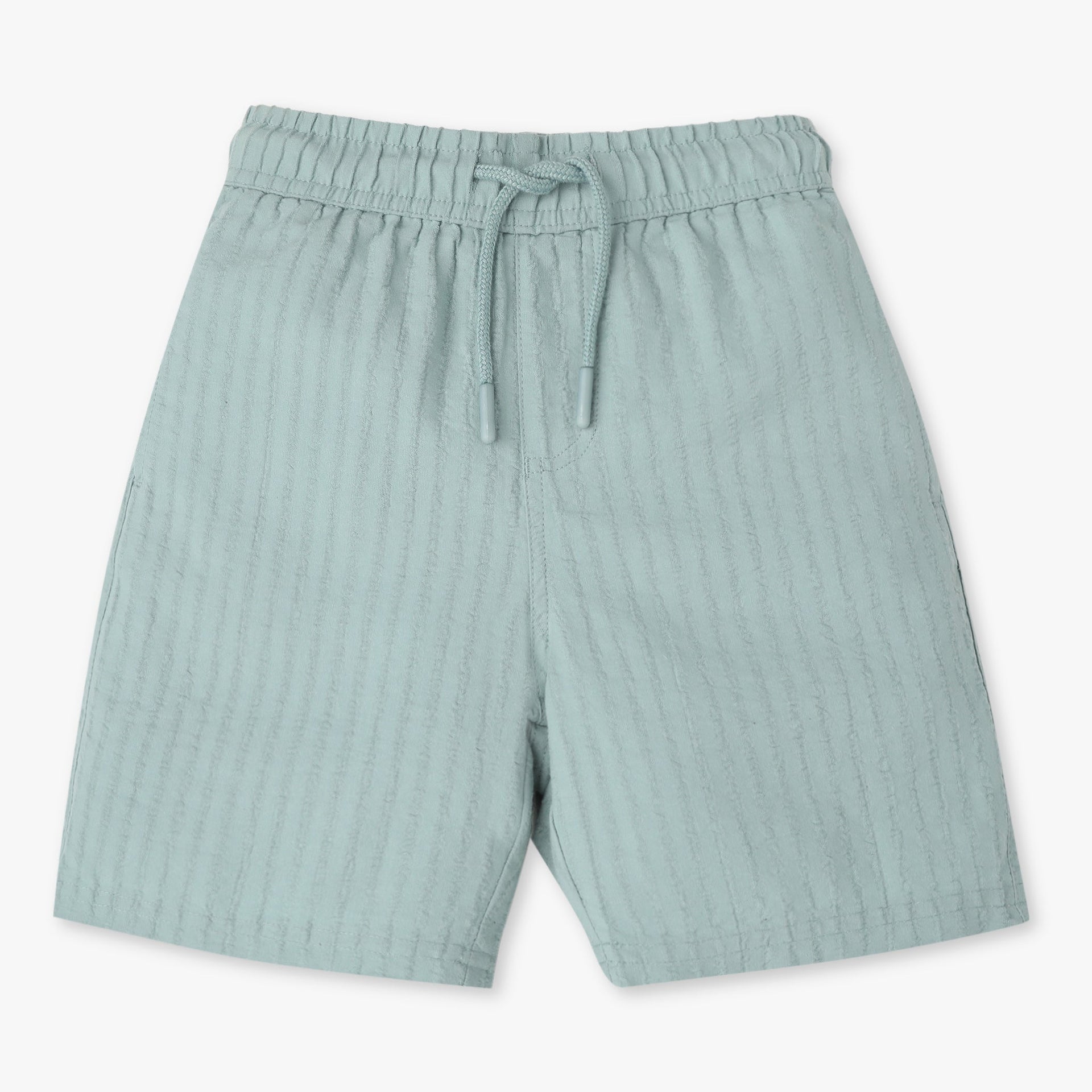 Boys Regular Fit Pull On Shorts