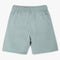 Boys Regular Fit Pull On Shorts