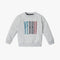 Boy's Regular Fit Graphic Sweat Tee