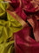 10 Yards silk saree lime green and maroon with plain body and zari woven border