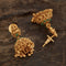 Antique Earring 169539