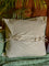 Shine (Cushion Cover)