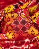 Varamahalakshmi Multi-Colour & Red Patan Patola Ikat Saree